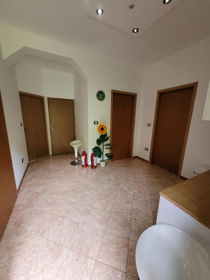 ホテル Casa Patryk Orşova エクステリア 写真