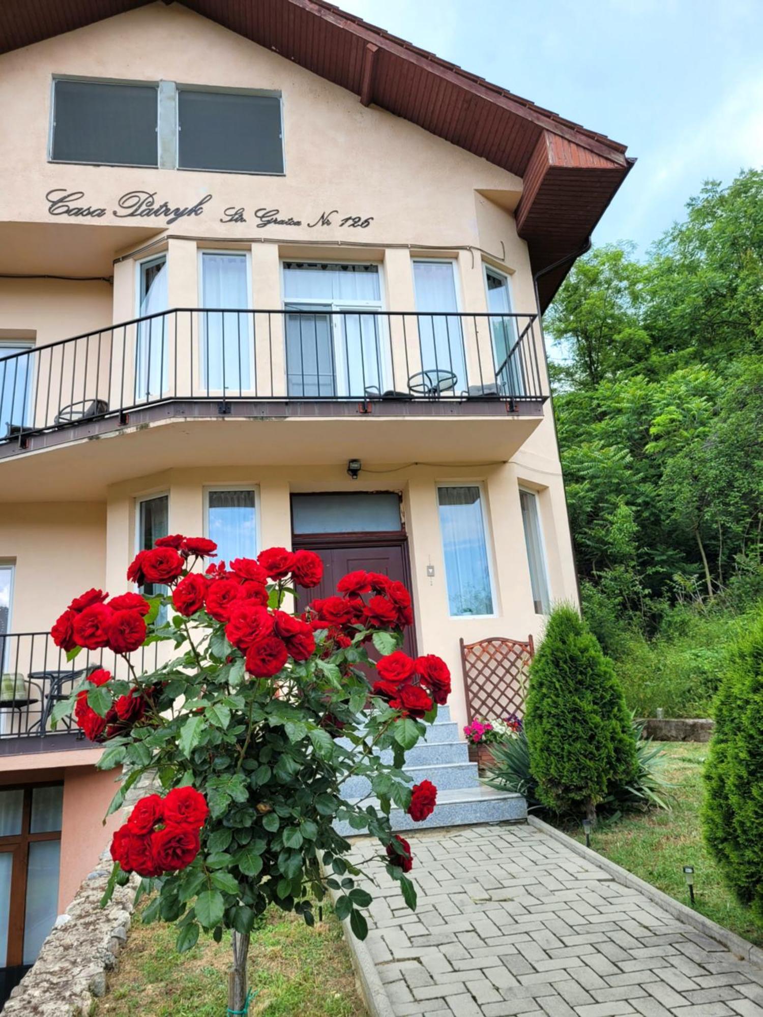 ホテル Casa Patryk Orşova エクステリア 写真