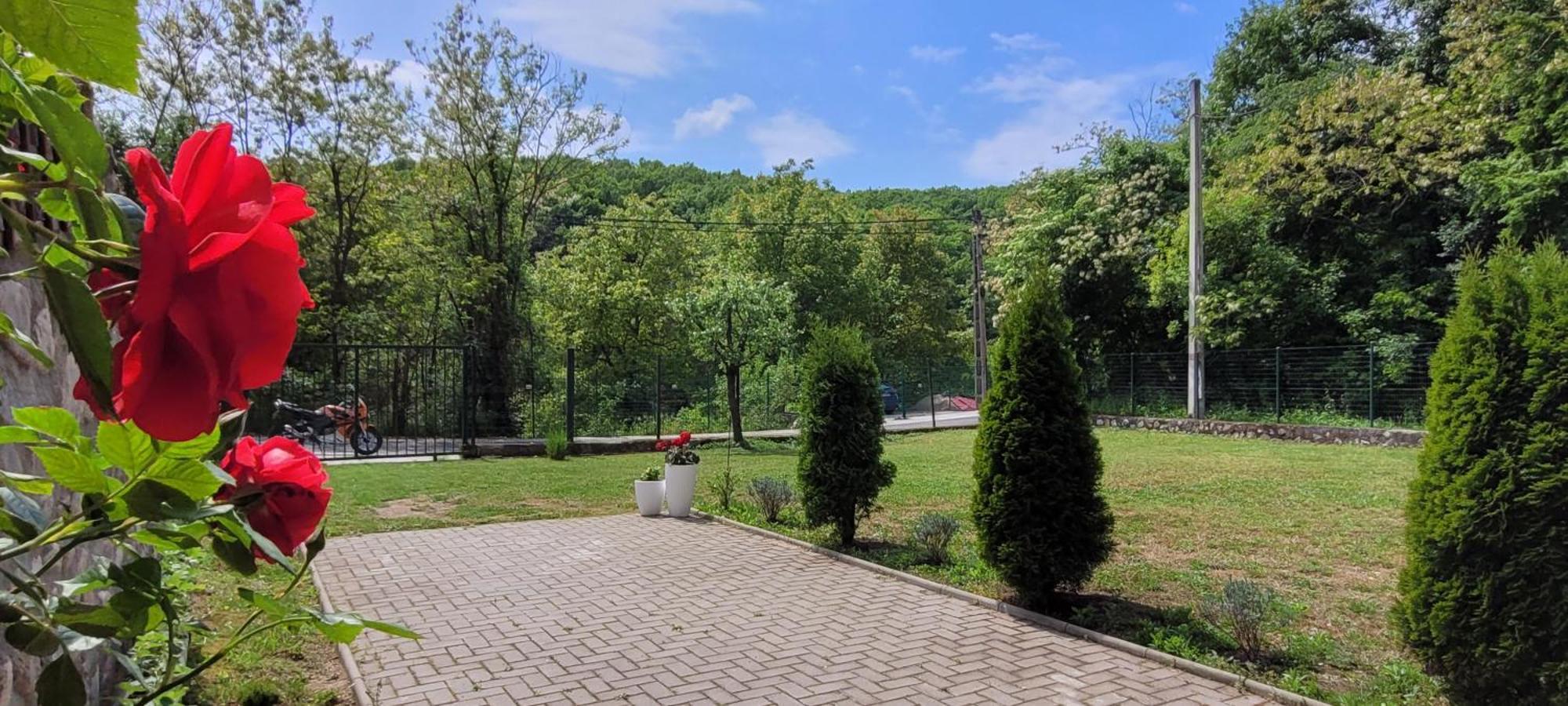 ホテル Casa Patryk Orşova エクステリア 写真