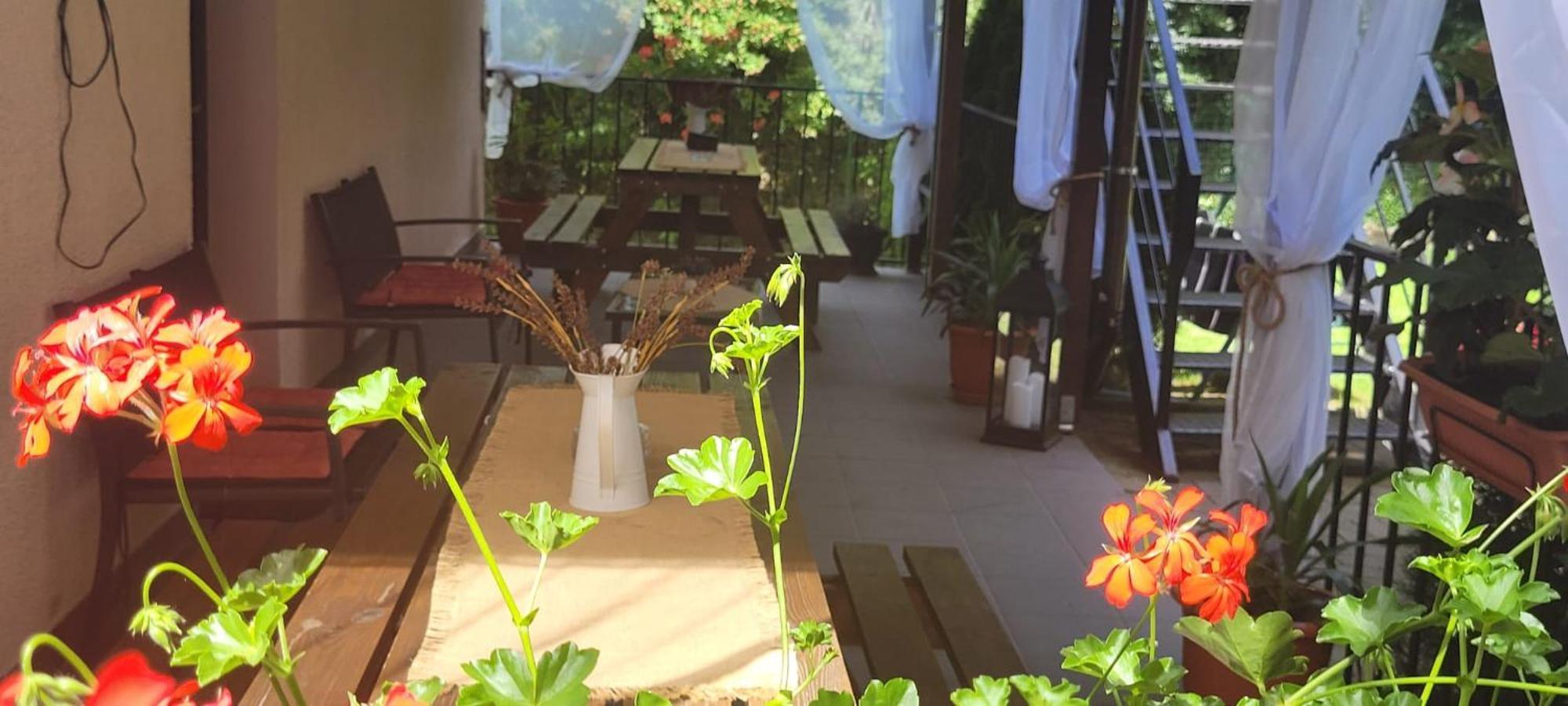 ホテル Casa Patryk Orşova エクステリア 写真